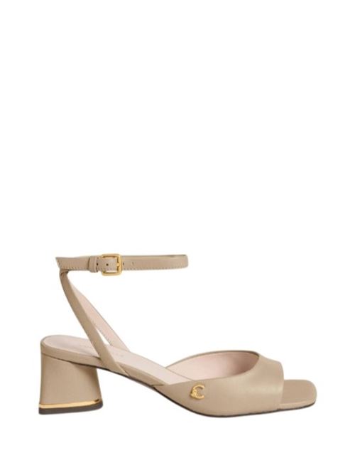 coccinelle c-everyday smo COCCINELLE | E4 U1L 18 01 01.N64